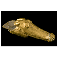 The Wilderness Foundation image
